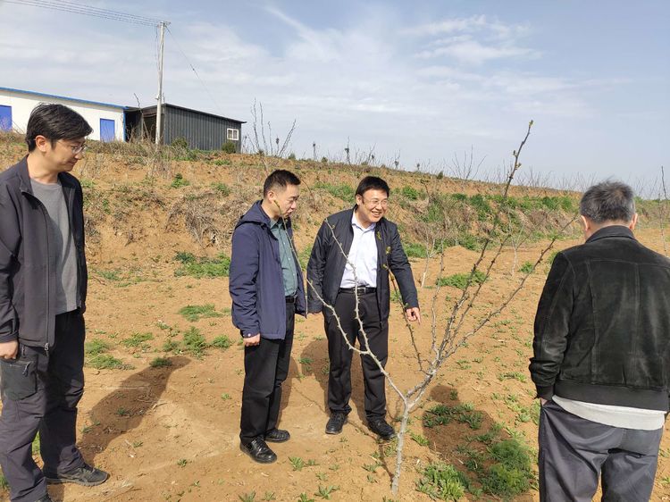 251616654146297154.jpeg 微信图片_20210325143329.jpg