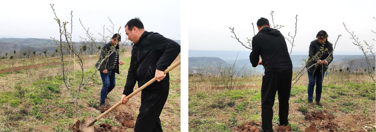 271653618350714823.jpeg 271653618350714823.jpeg