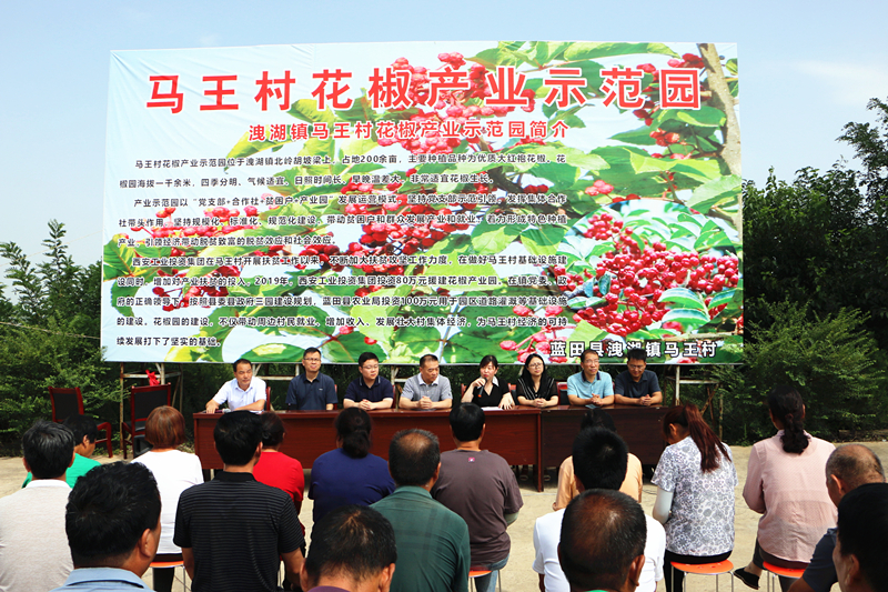 181692352813975247.jpeg img_2303_副本_副本.jpg