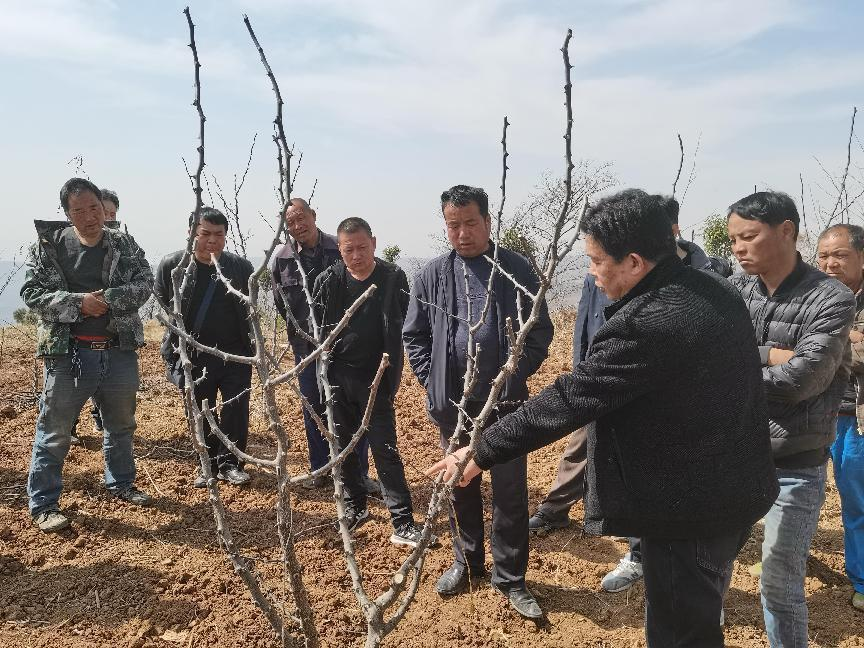 扶贫工作动态(第132期)