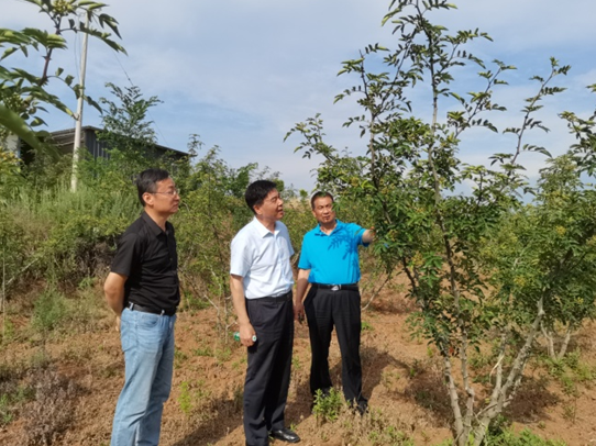 乡村振兴工作动态(第135期)