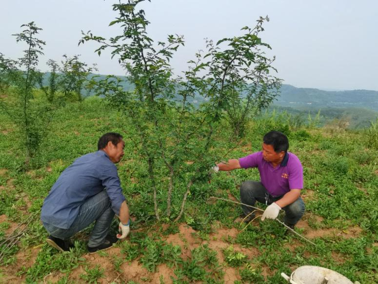 扶贫工作动态(第121期)