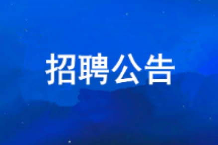君临国际集团有限公司2026年度公开招聘公告