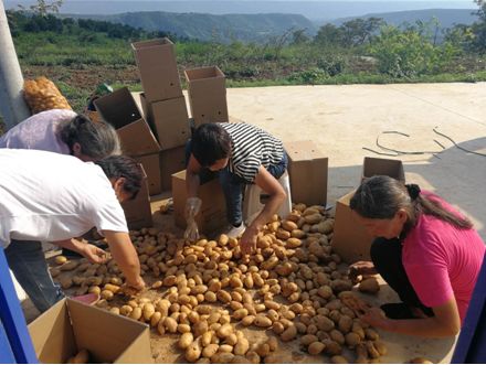 扶贫工作动态(第114期)