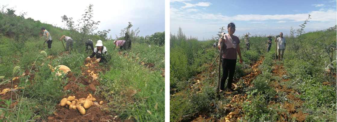 1601371649771344.png 1601371649771344.png